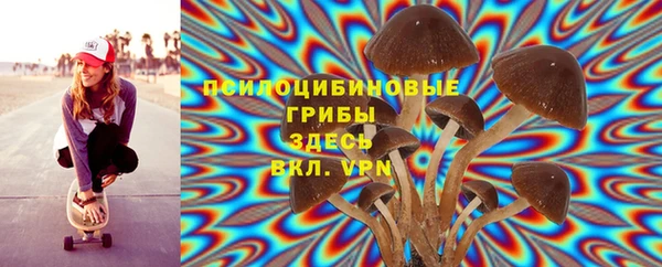 трава Ладушкин
